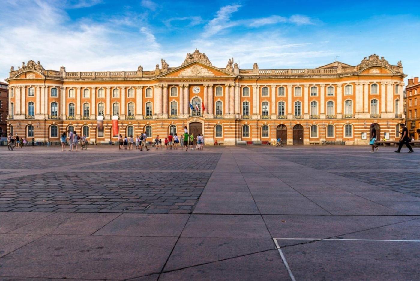 Charmant Appartement Toulouse Bagian luar foto